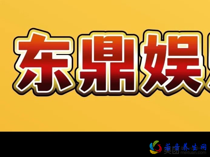 松江区新松江路1277号东鼎大厦6层01-05室