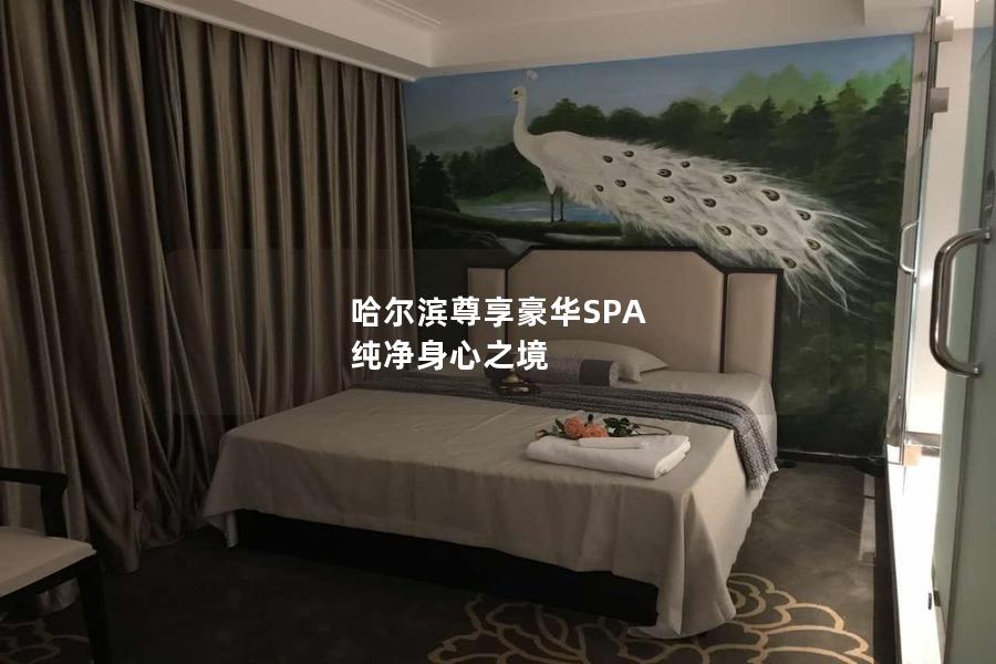 哈尔滨尊享豪华SPA 纯净身心之境