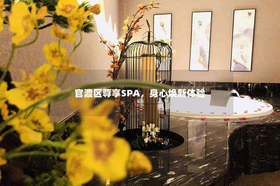 官渡区尊享SPA，身心焕新体验