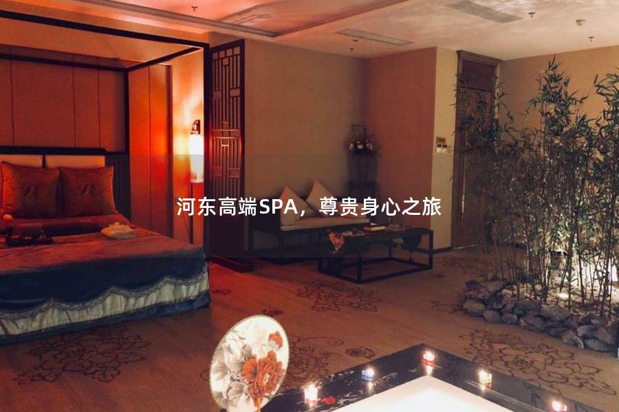 河东高端SPA，尊贵身心之旅